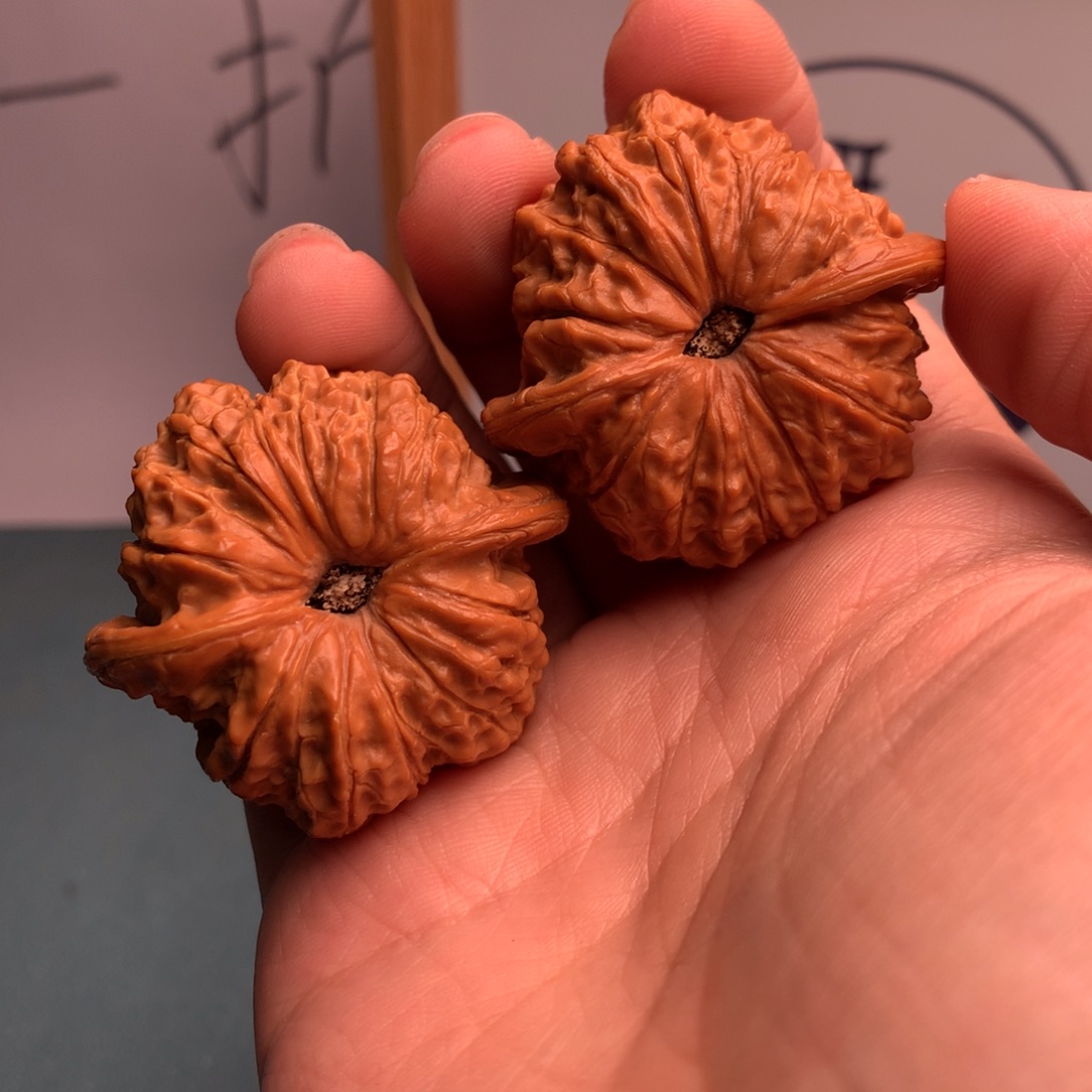 丁***虎血麒麟2年第十集就