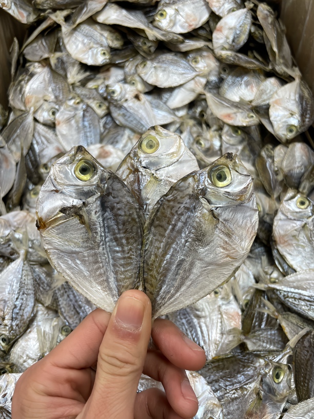 潮汕渔民淡晒微咸九梗脯(金钱花)