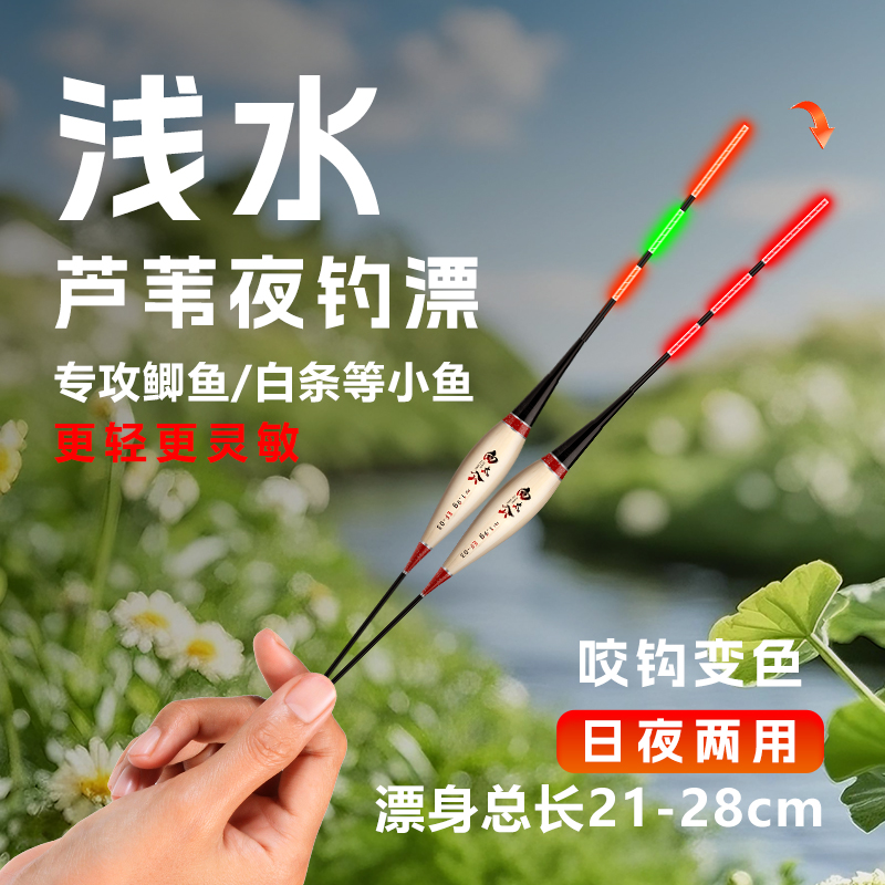 向太公浅水芦苇电子漂高灵敏冷光尾夜光漂溪流草洞白条鲤鲫鱼漂