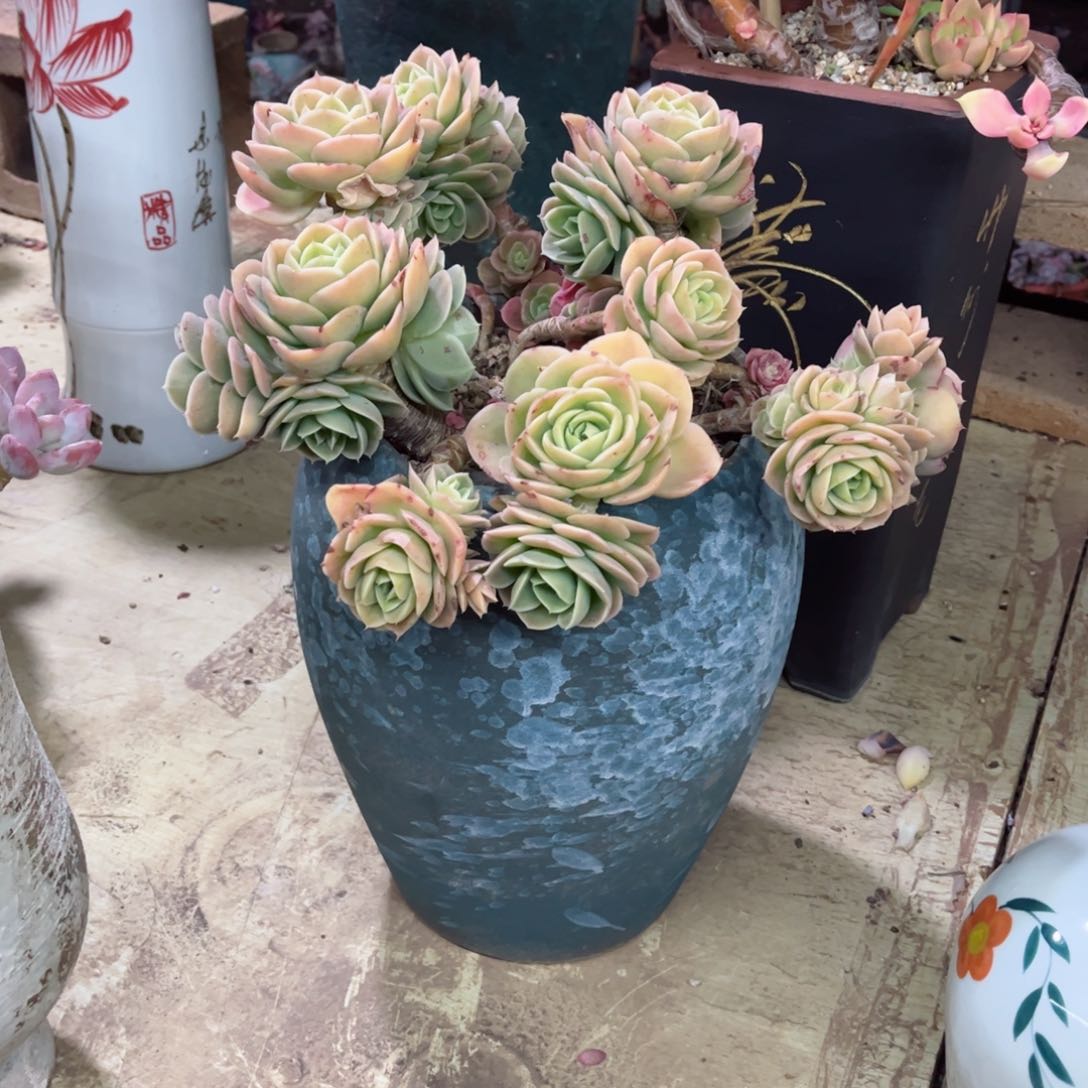 你是不是在。你的电话打