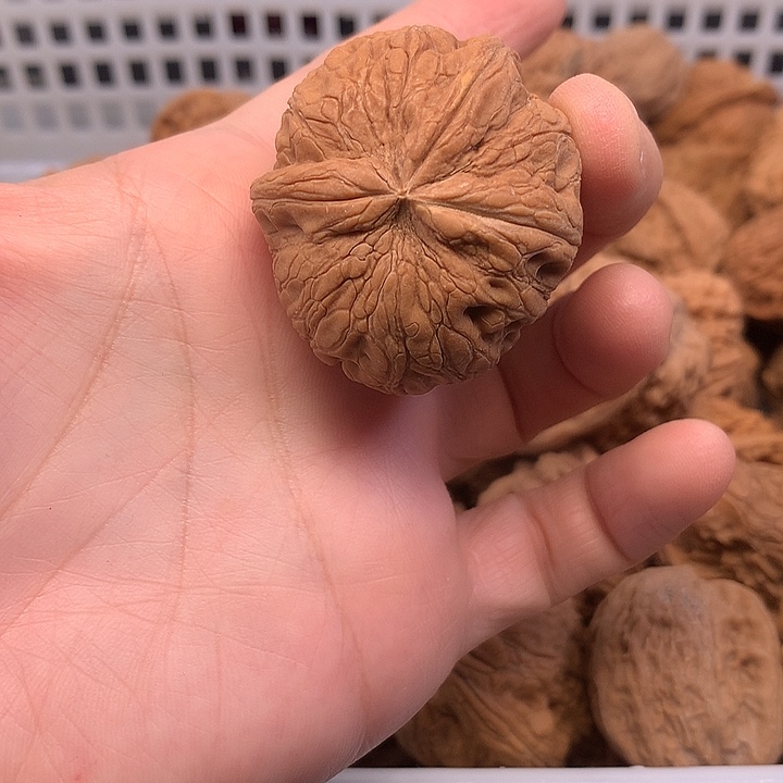 二***鹏吊坠文玩核桃文玩核桃