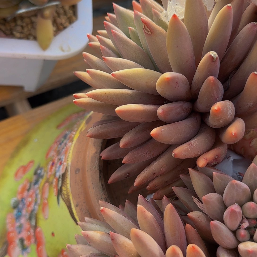 黄****店啊啊啊啊啊啊啦啊哦哦呃呃