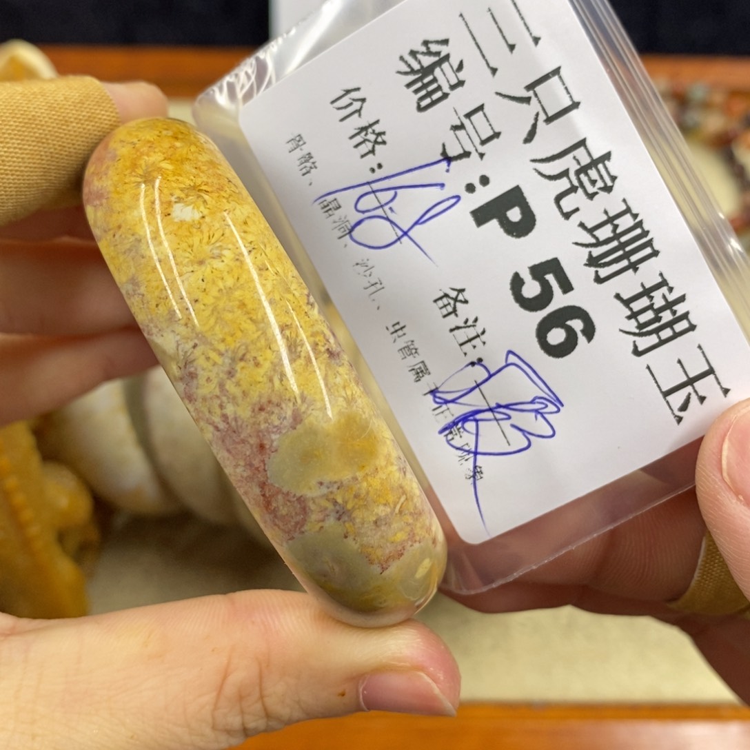 硅化珊瑚（珊瑚玉）1未镶嵌小*.