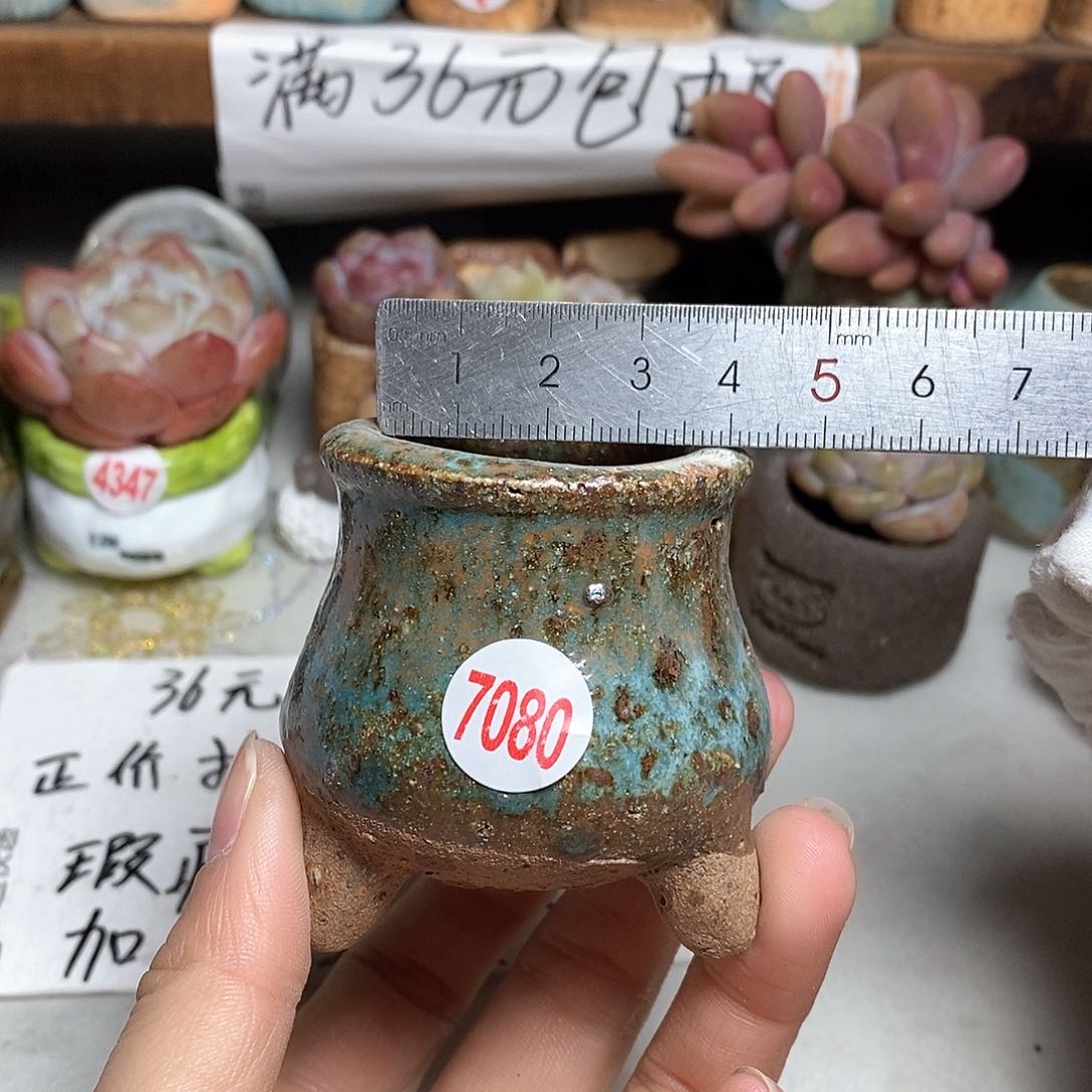 红陶拍5送一个小