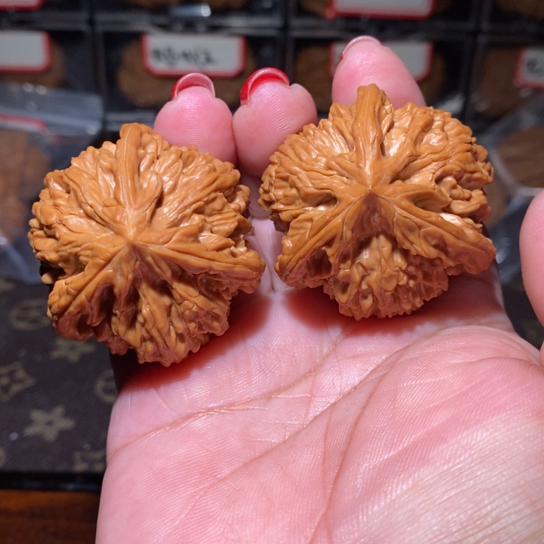 文玩核桃把件43御龙奔