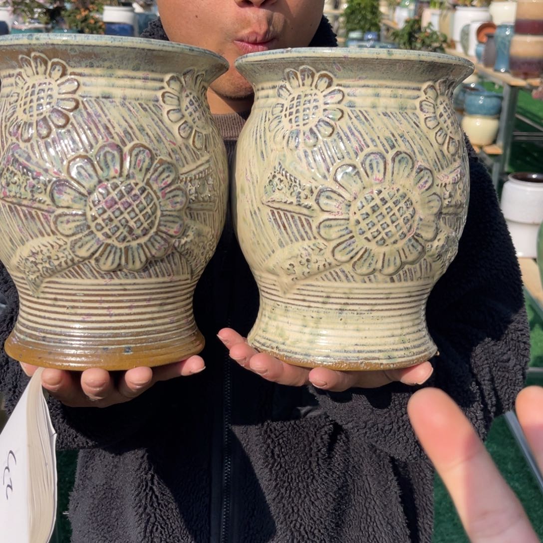 红陶彭于晏0216-1023