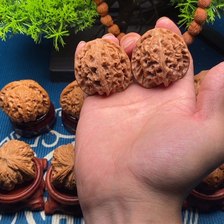 文玩核桃42苹果园狮子头