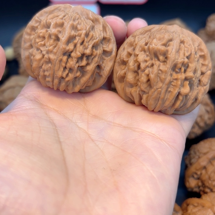 44四座楼全品无修全品无修全品