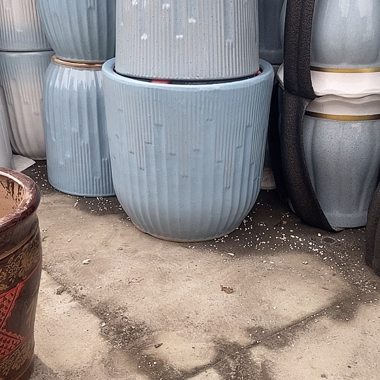 蓝钢琴特大福利2个