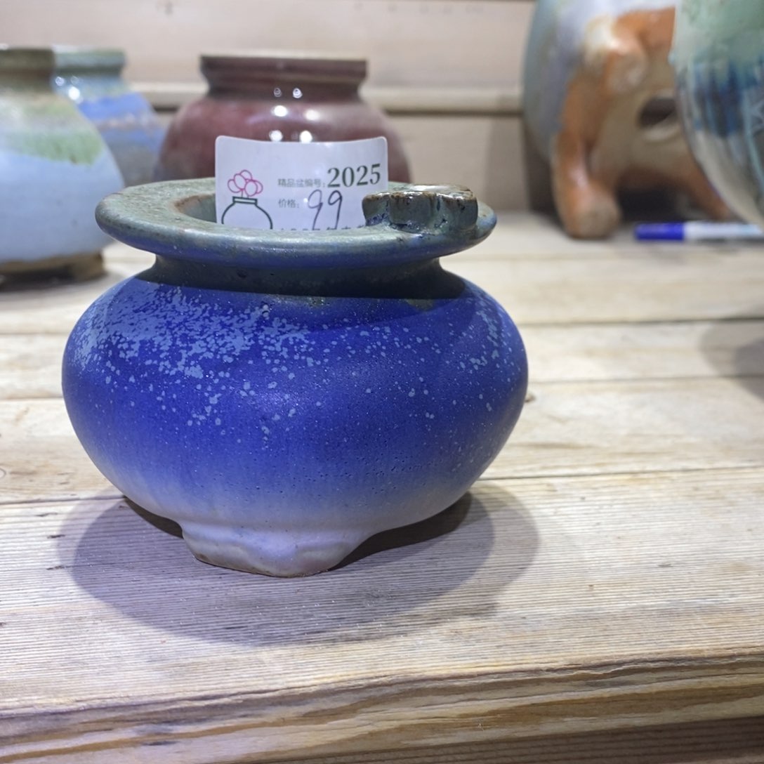 粗砂花盆王*精品2025盆盆盆盆