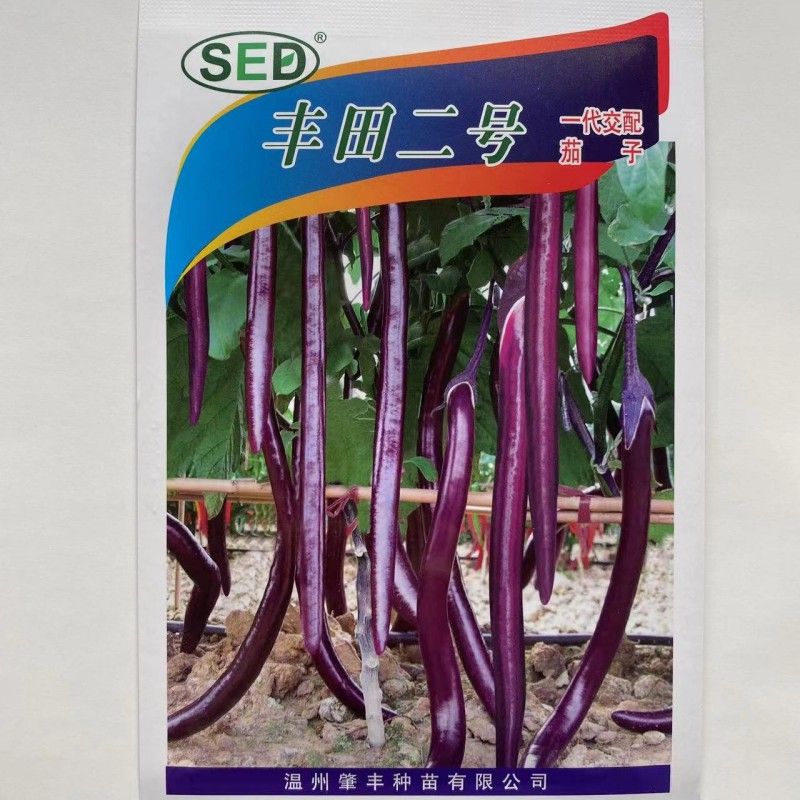 丰田二号茄子种子红茄长茄线茄杭茄春季秋季国产高产蔬菜基地