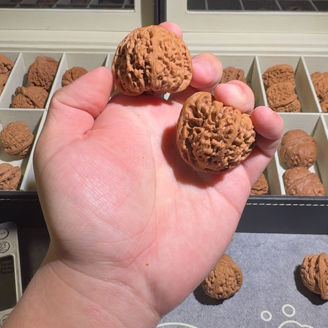 一***妄大叶紫檀（黑酸枝木类）