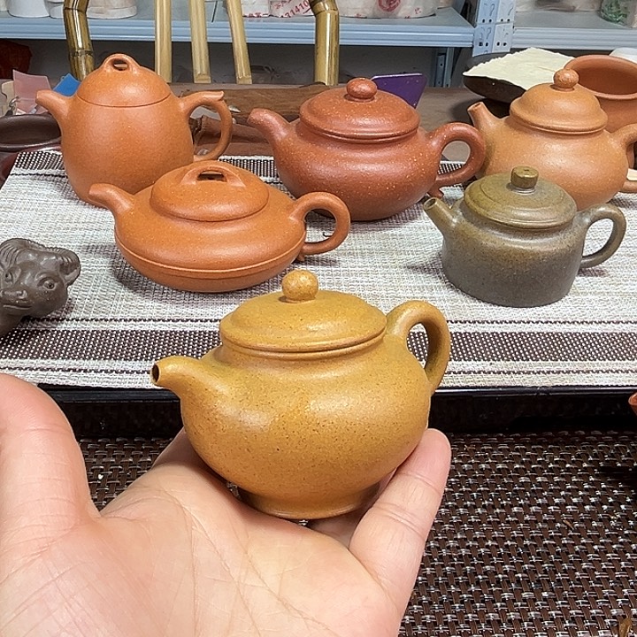 紫砂茶壶孤品福利100