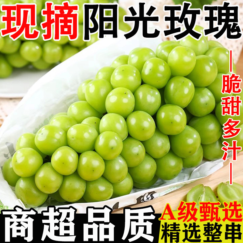 阳光玫瑰新鲜应季无籽葡萄脆甜青提应季水果阳光玫瑰葡萄