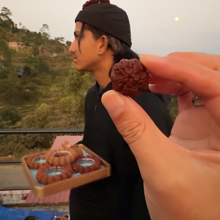 金刚菩提手串经典5号货5号货金标22毫米五星蜂王