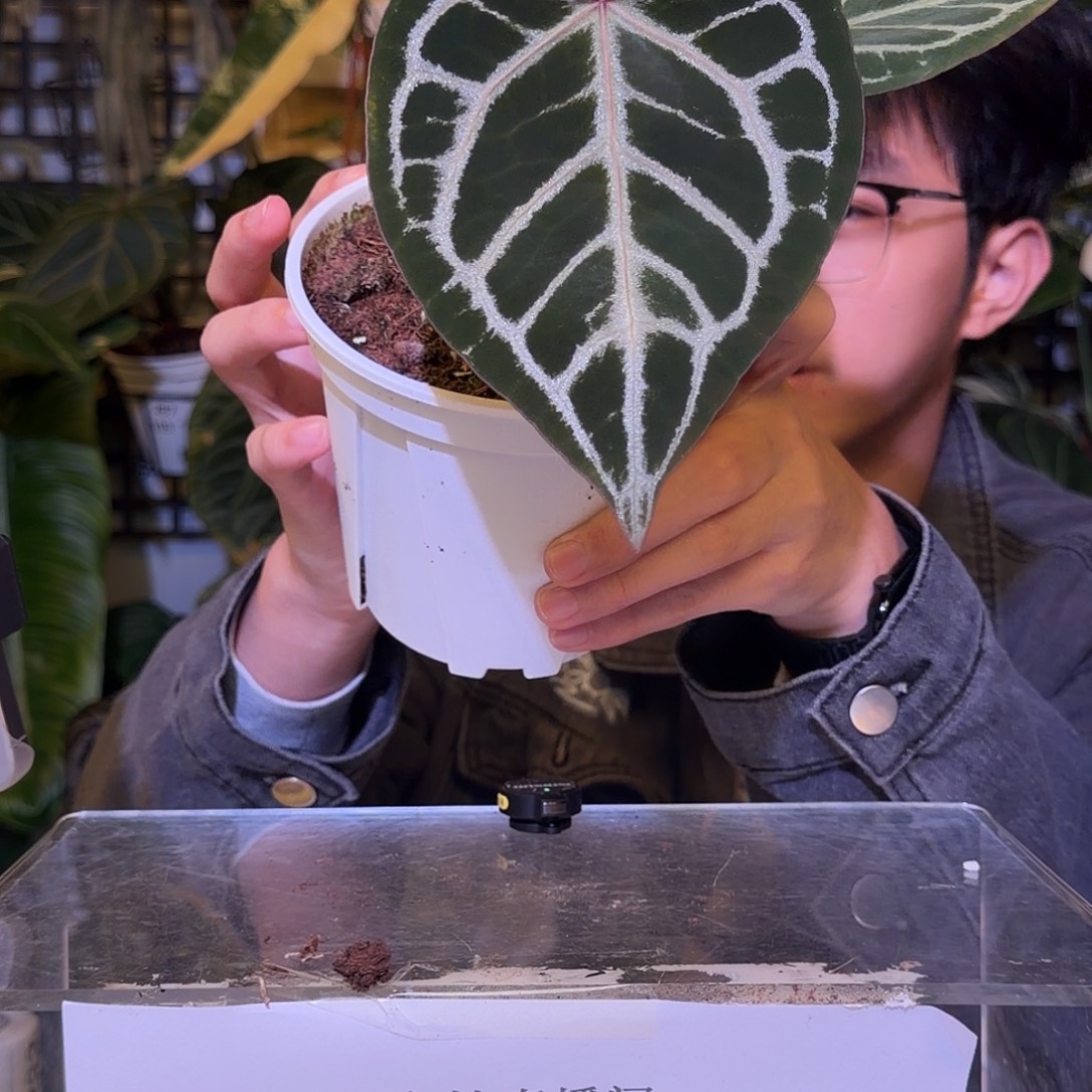 完全开放F579SKG红