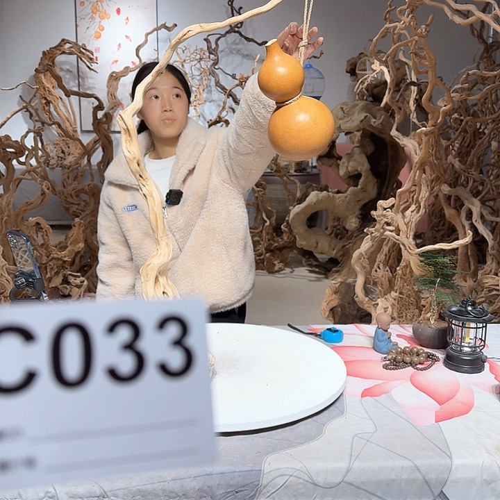 风车木（黑檀木）月**贝