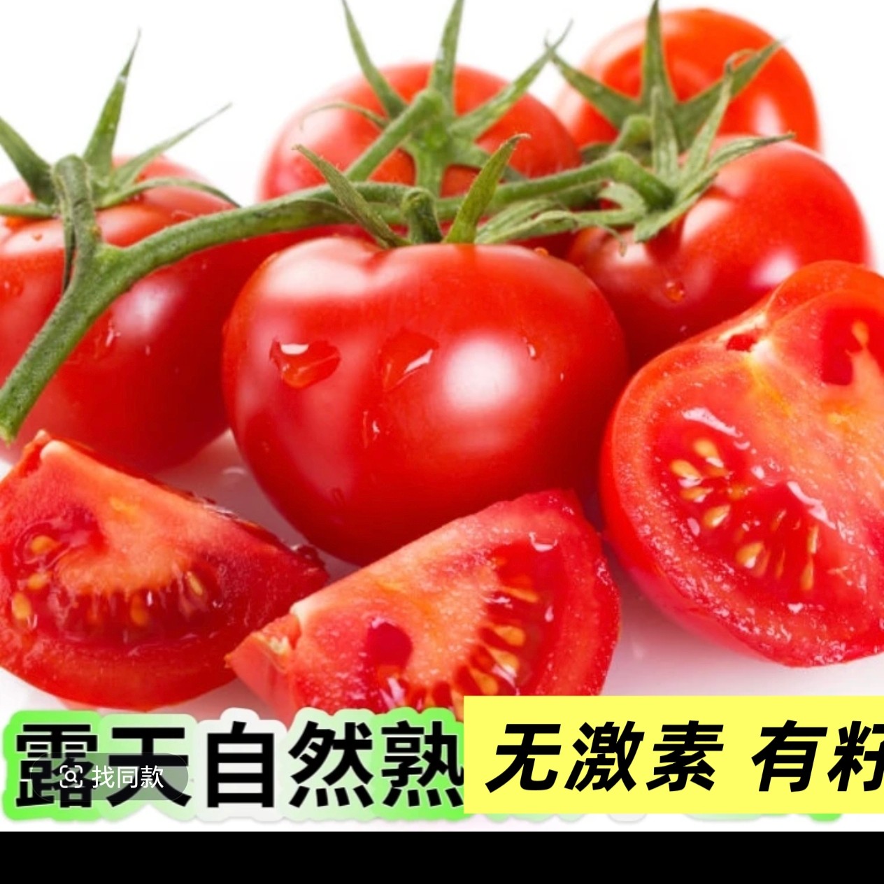 贵州露天种植老品种新鲜蔬菜水果西红柿新鲜采摘沙瓤可生吃包邮