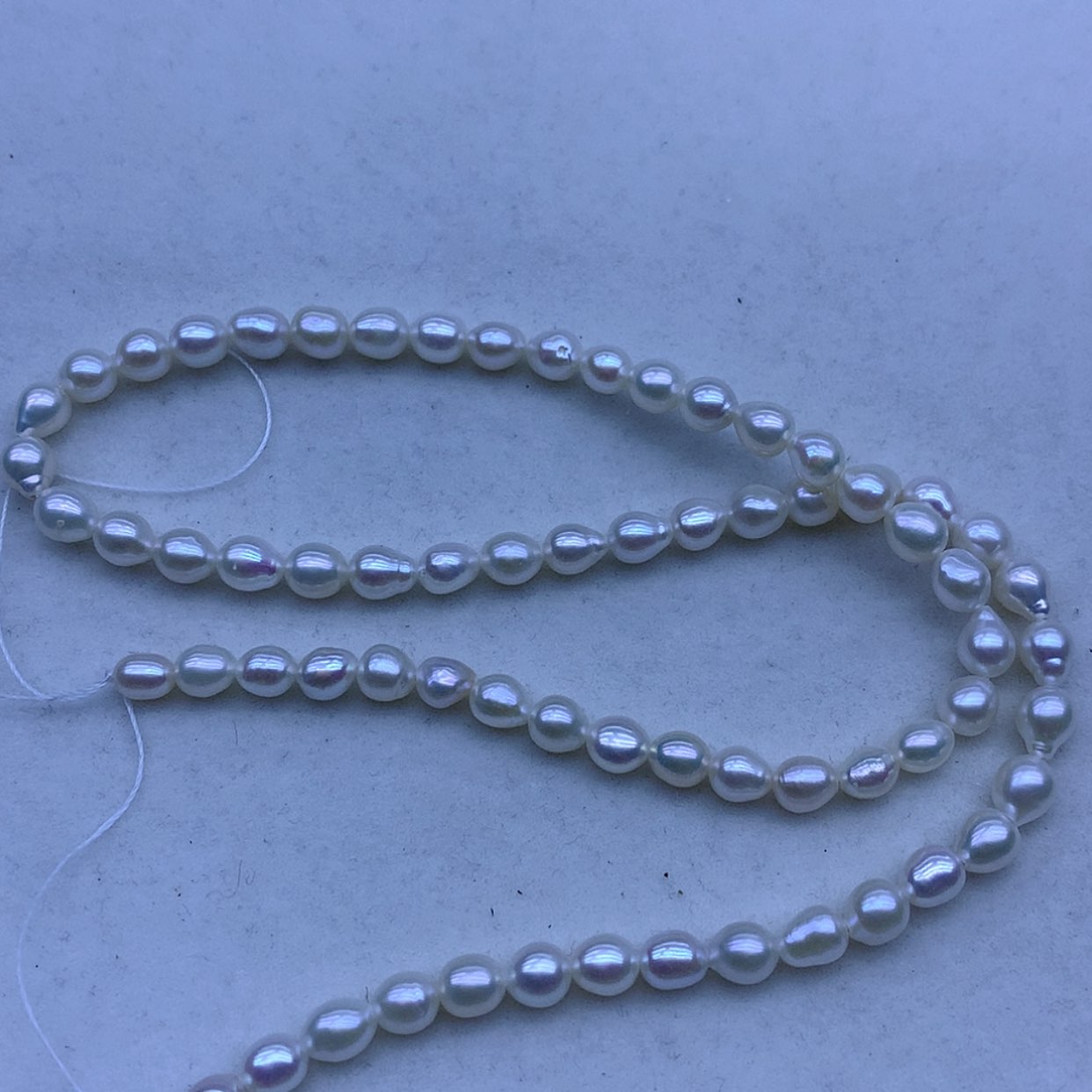 【闪购商品】淡水珍珠颈饰银S925镶嵌