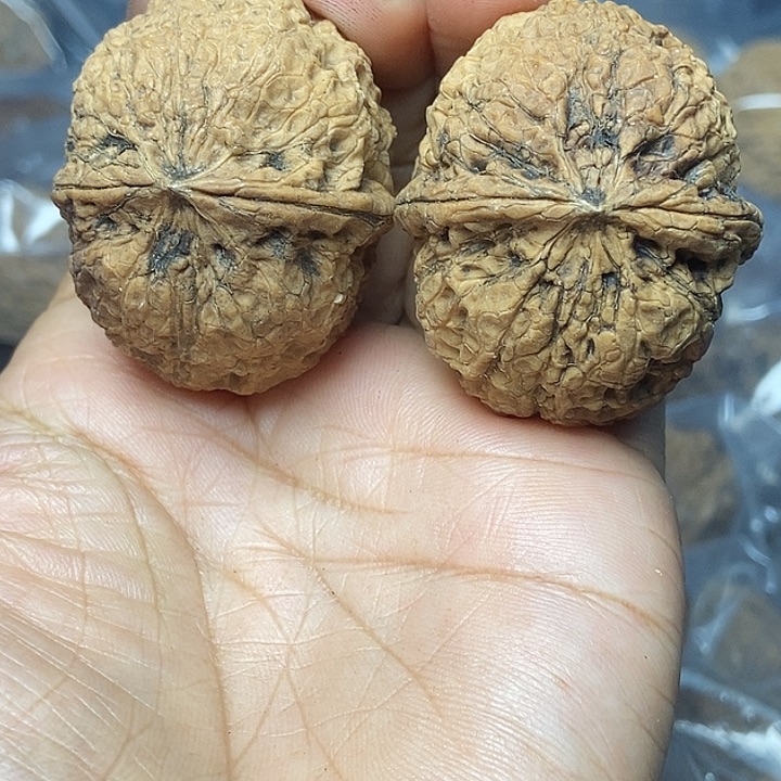 把件文玩核桃云南铁核桃基地60