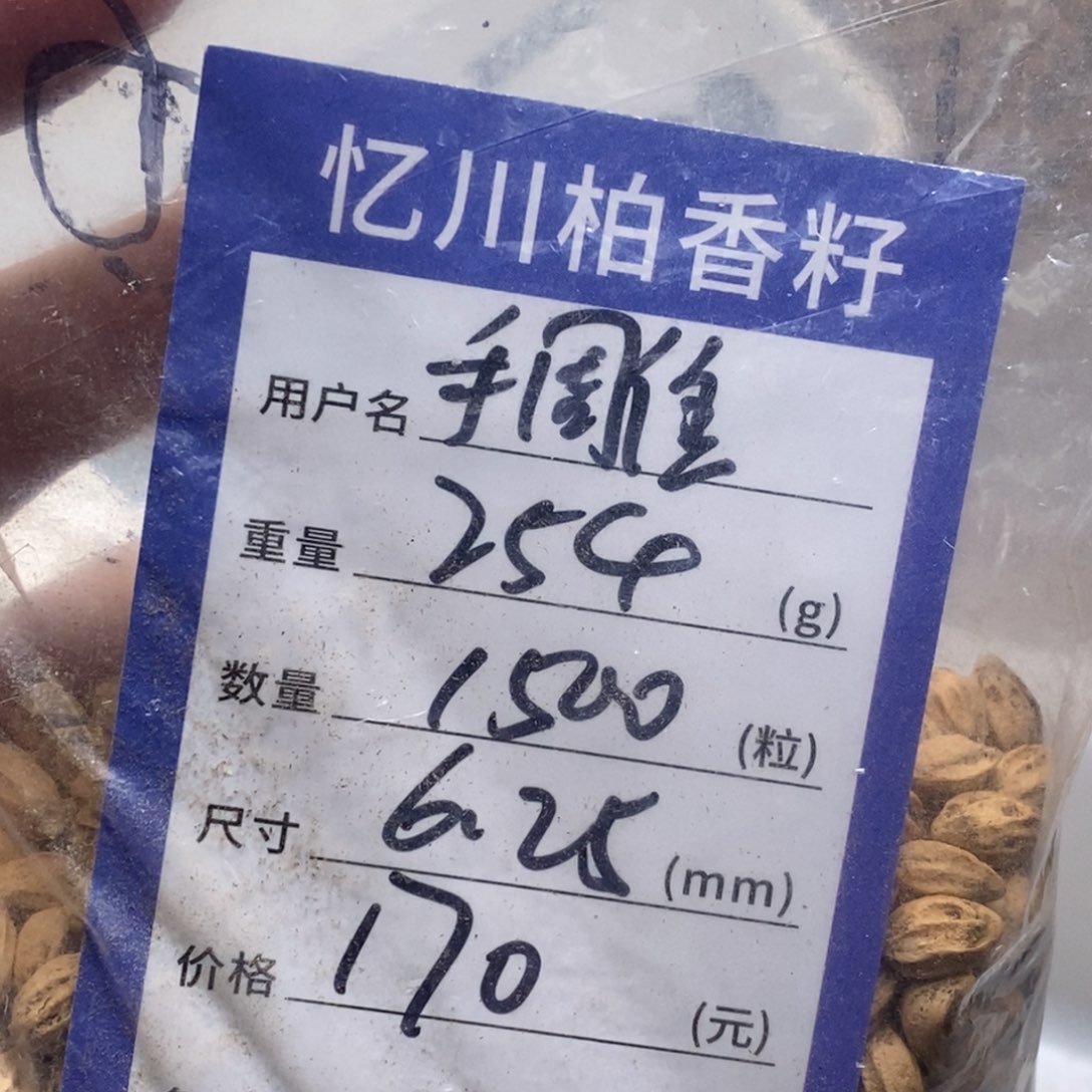 柏香籽/百香籽吊坠『****冬