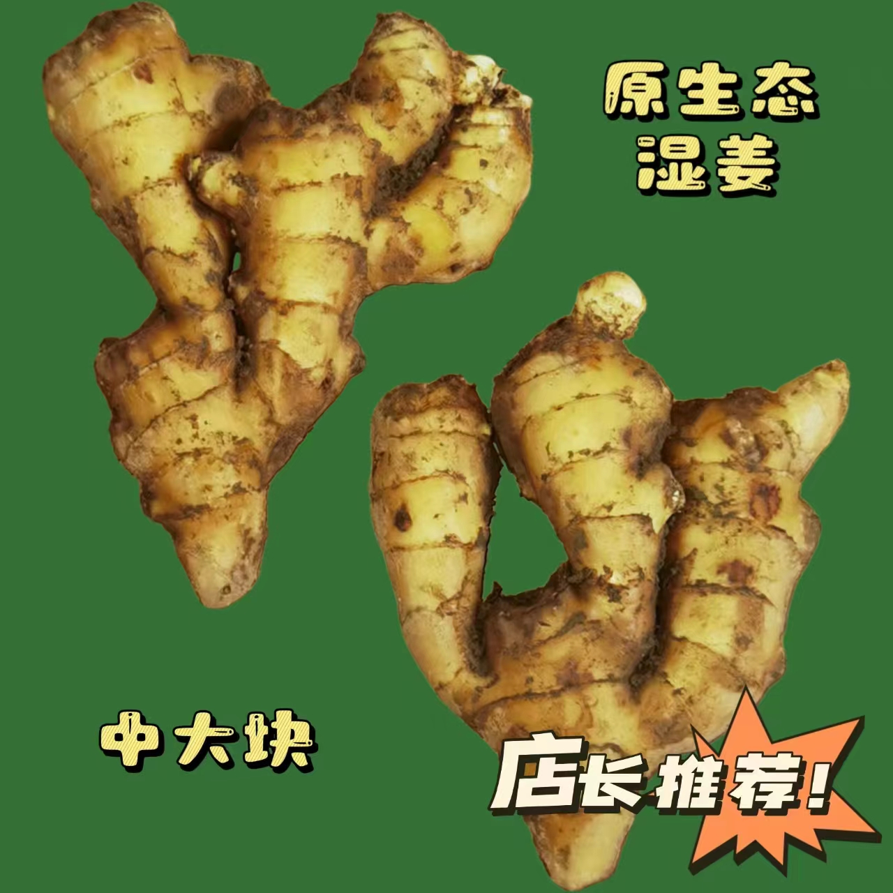 【优质老黄姜】新鲜现挖自家种植泥姜现挖现发窖藏老姜湿姜