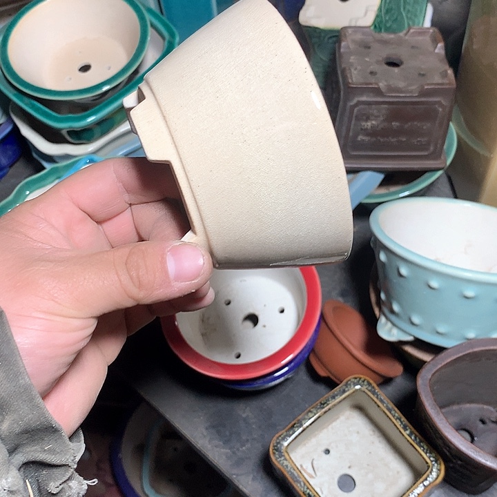 紫砂哈哈真的是太给力太火爆了不是吗