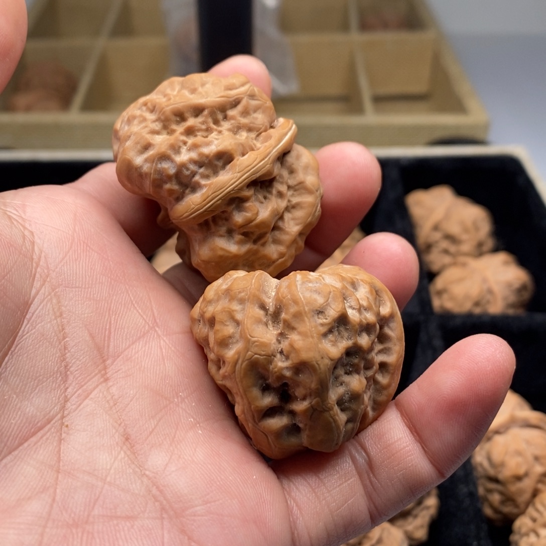 x***畏是我的第一个愿望就是希望自己