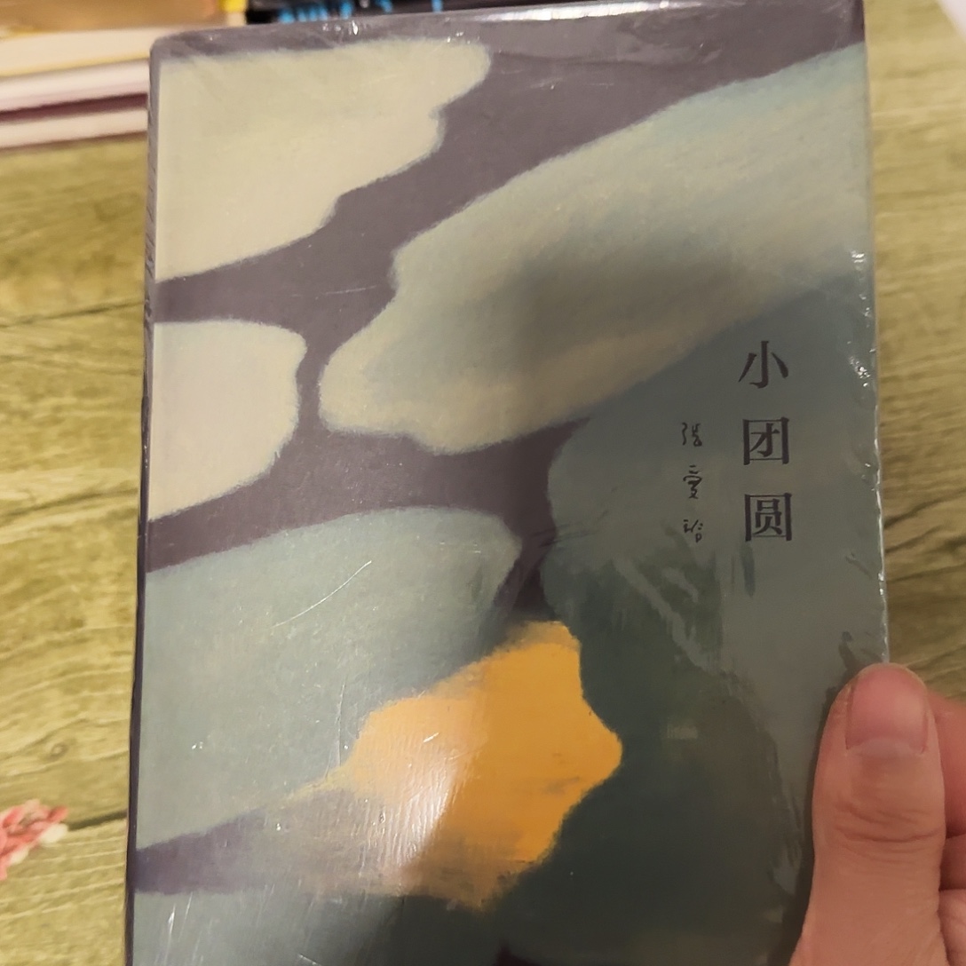 小团圆闪购精装10