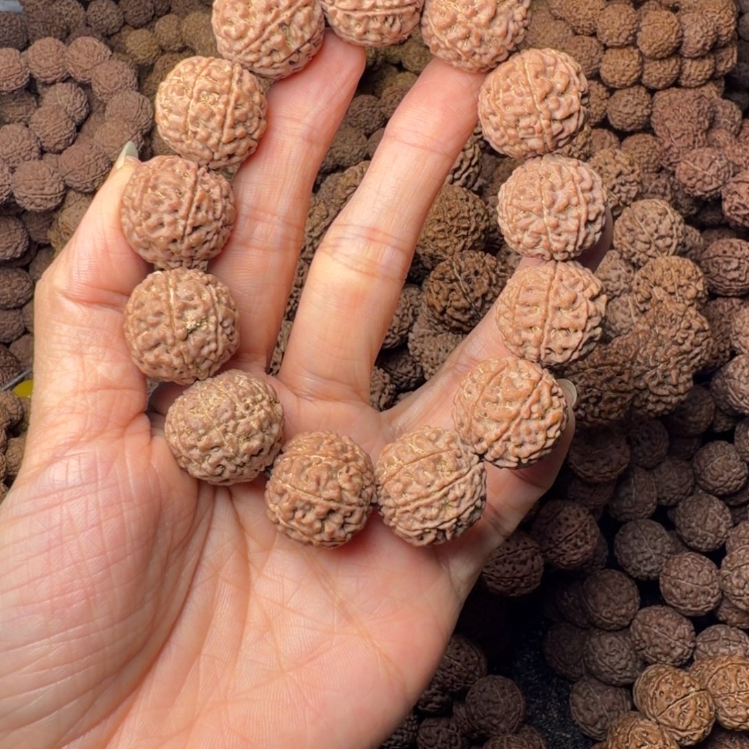 金刚菩提手串9瓣卡20尺，49号