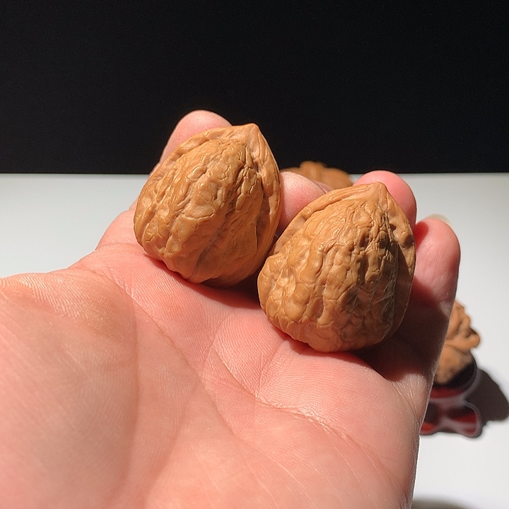 开***豆把件文玩核桃石子金蝉33