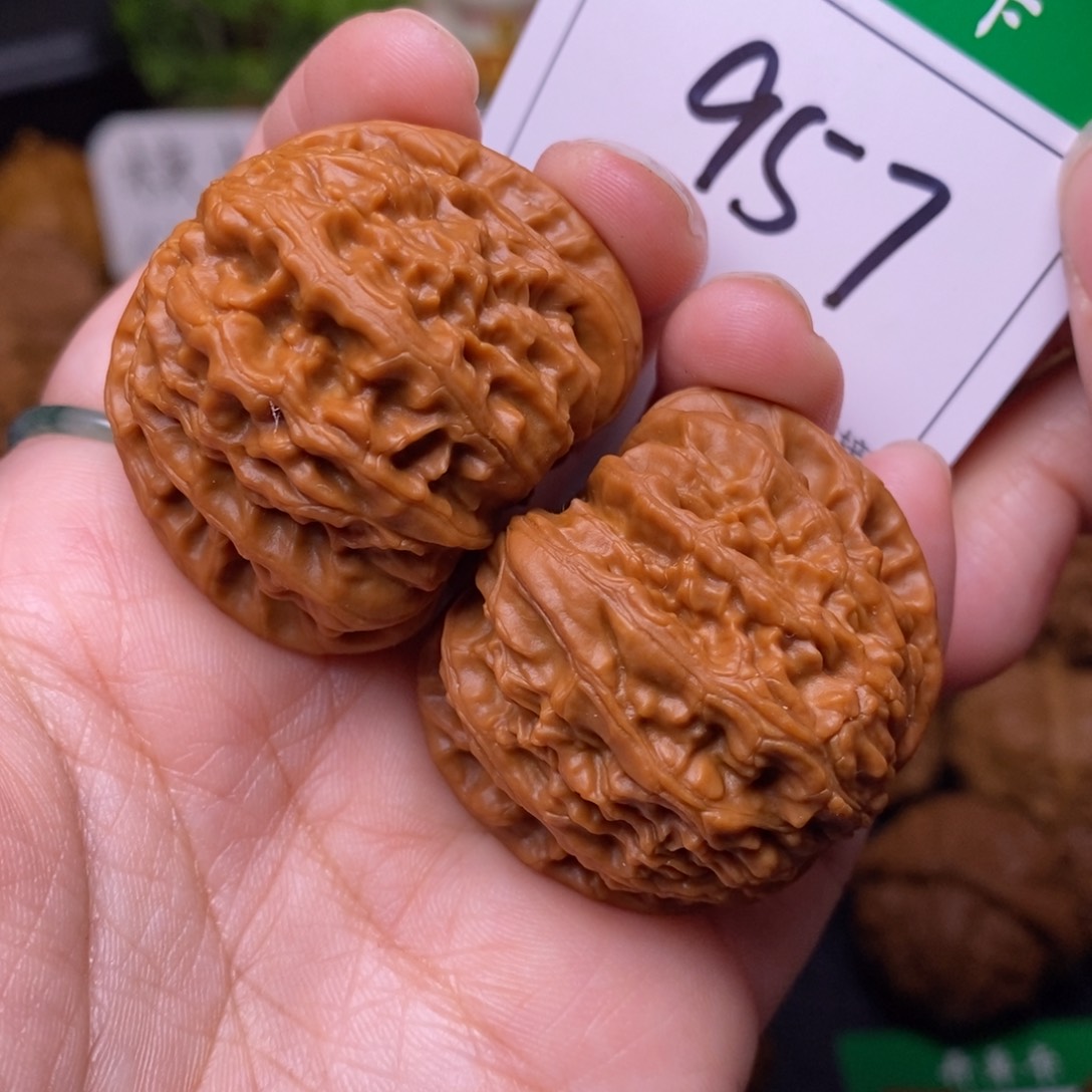 把件文玩核桃957白狮子4.0