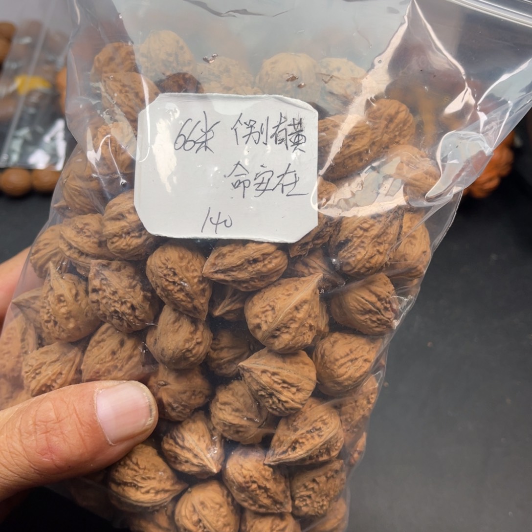 命***在野生小核桃140颗66