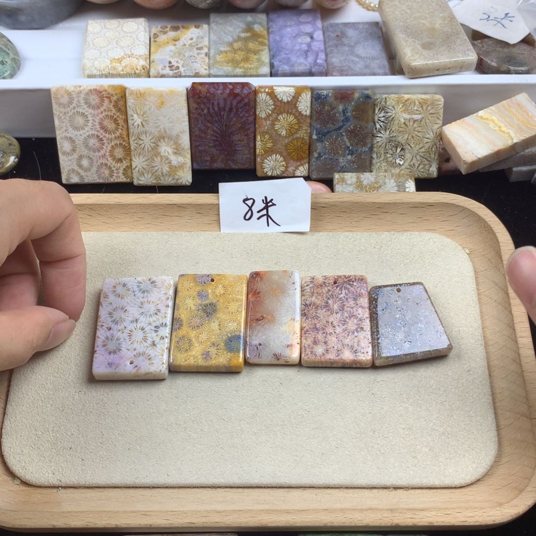 别***界硅化珊瑚（珊瑚玉）未镶嵌笔搁
