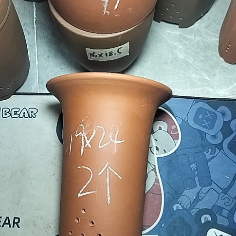 大红兰花两个花盆