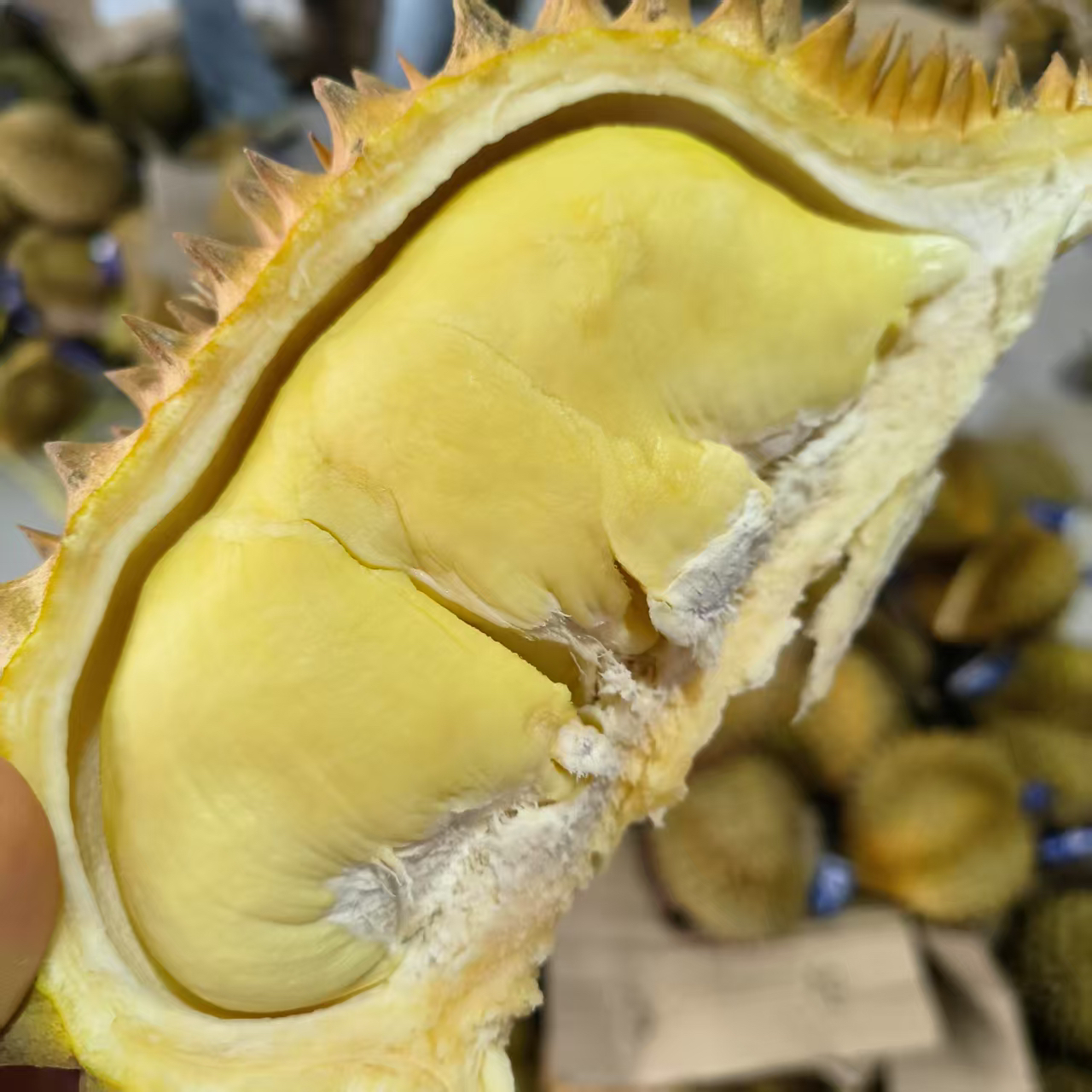 【判断生熟】越南金枕榴莲 巴掌榴莲 整果发货保3房不要生劈