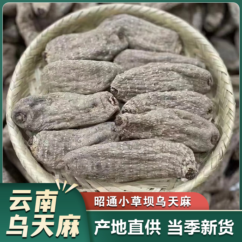 云南乌天麻干货 云南特产昭通小草坝天麻 深山采挖 自然滋补煲汤