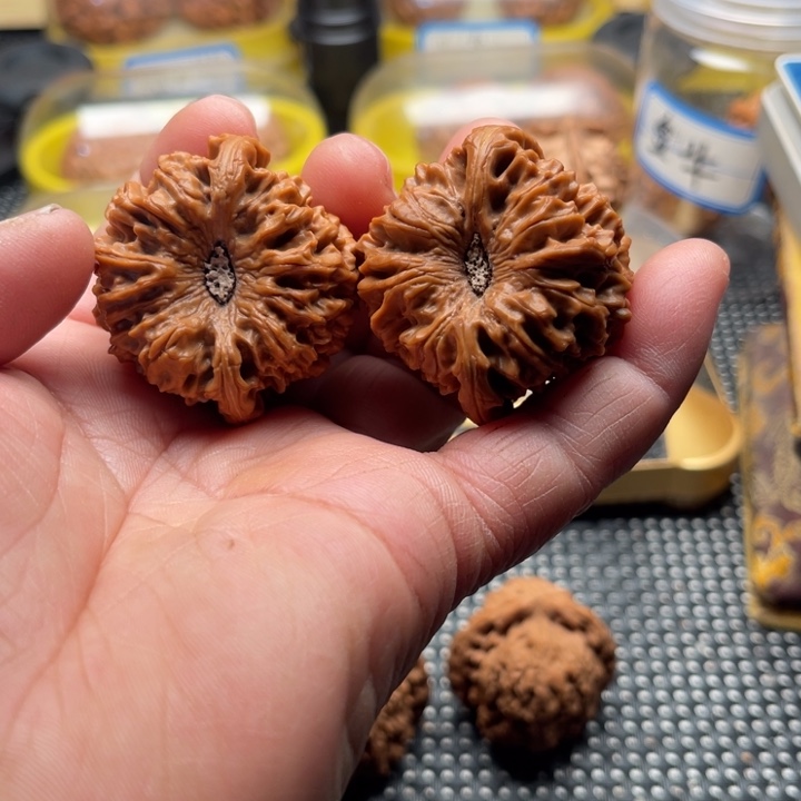 文玩核桃把件龙门涧41➕