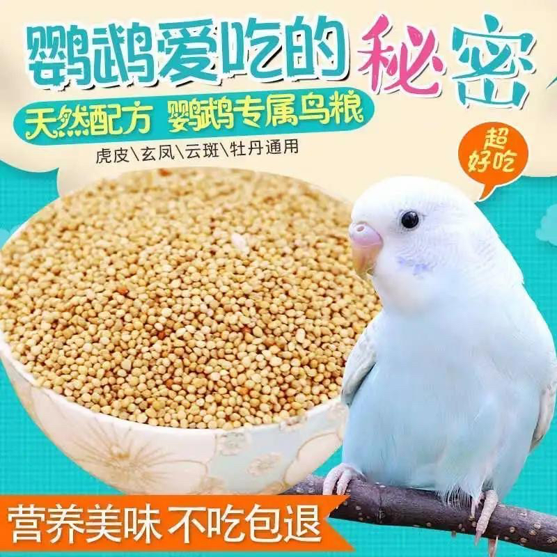 黄谷子带壳小米鹦鹉饲料玄凤牡丹专用鸟食虎皮鹦鹉鸟粮新鲜鸟食粮