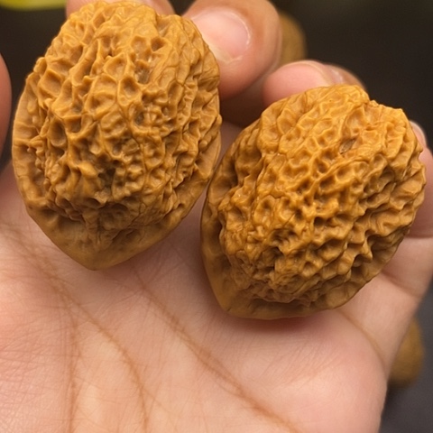 文玩核桃把件39尺领头羊