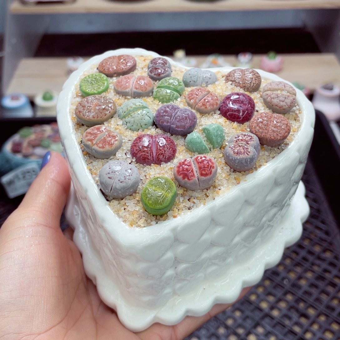 零下地区拍保温箱w1261