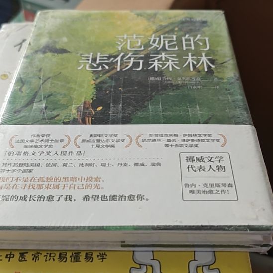 范妮的悲伤森林精装塑封库存书