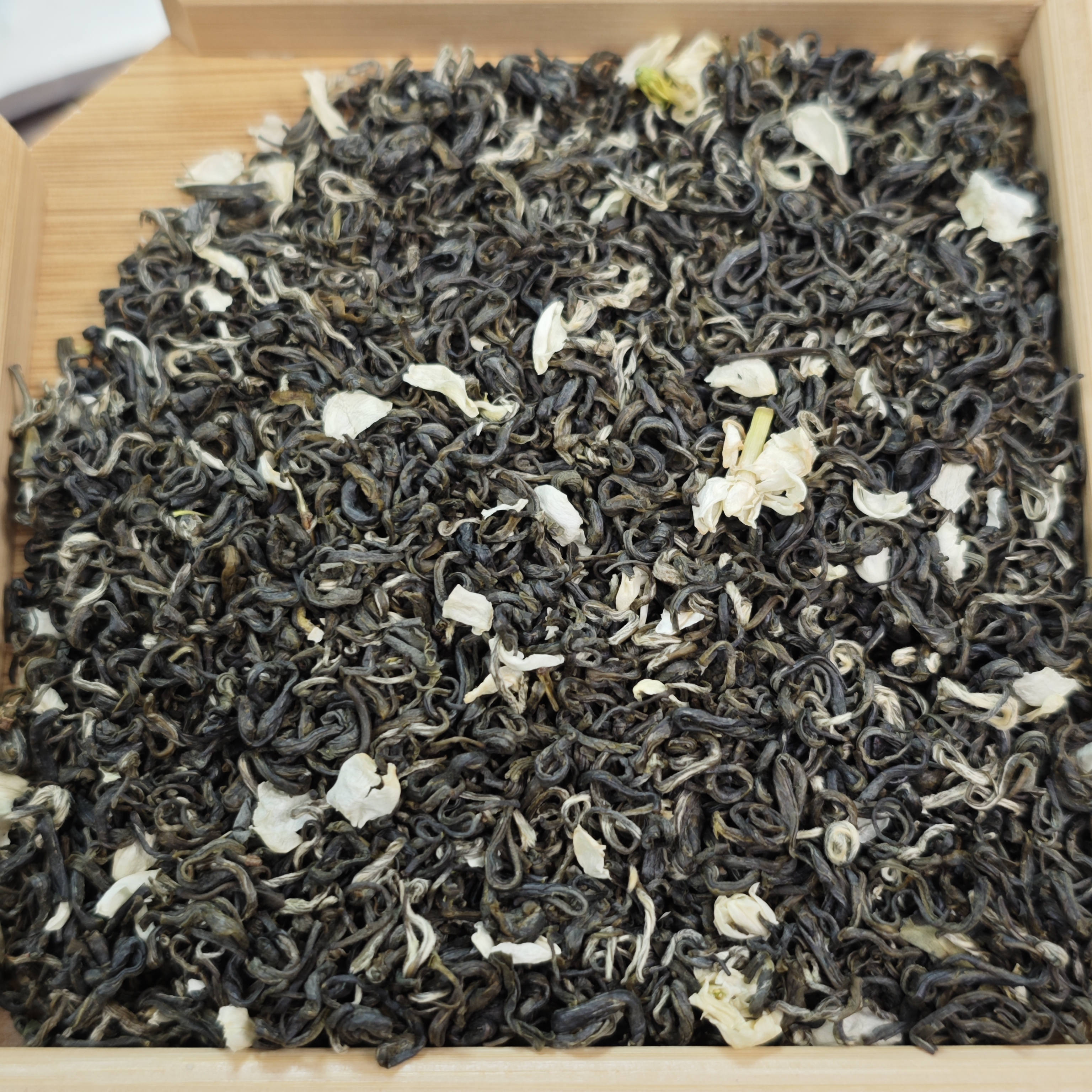 【试喝福利】七窨一提高茶叶山云雾茉莉花茶飘雪香甜回甘高香