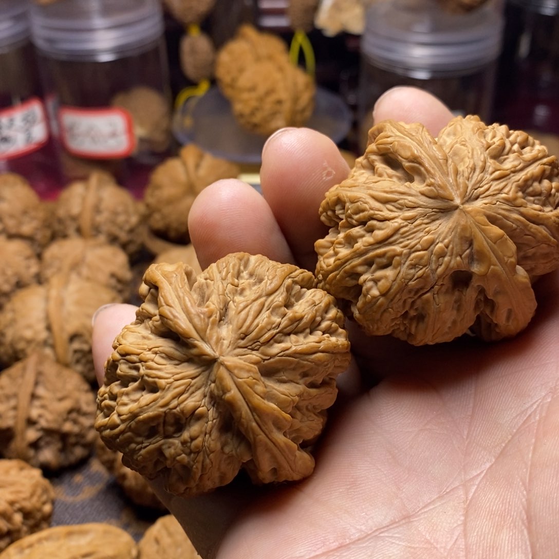 核桃手串/手链?**学大粗筋蓟县47.5毫米