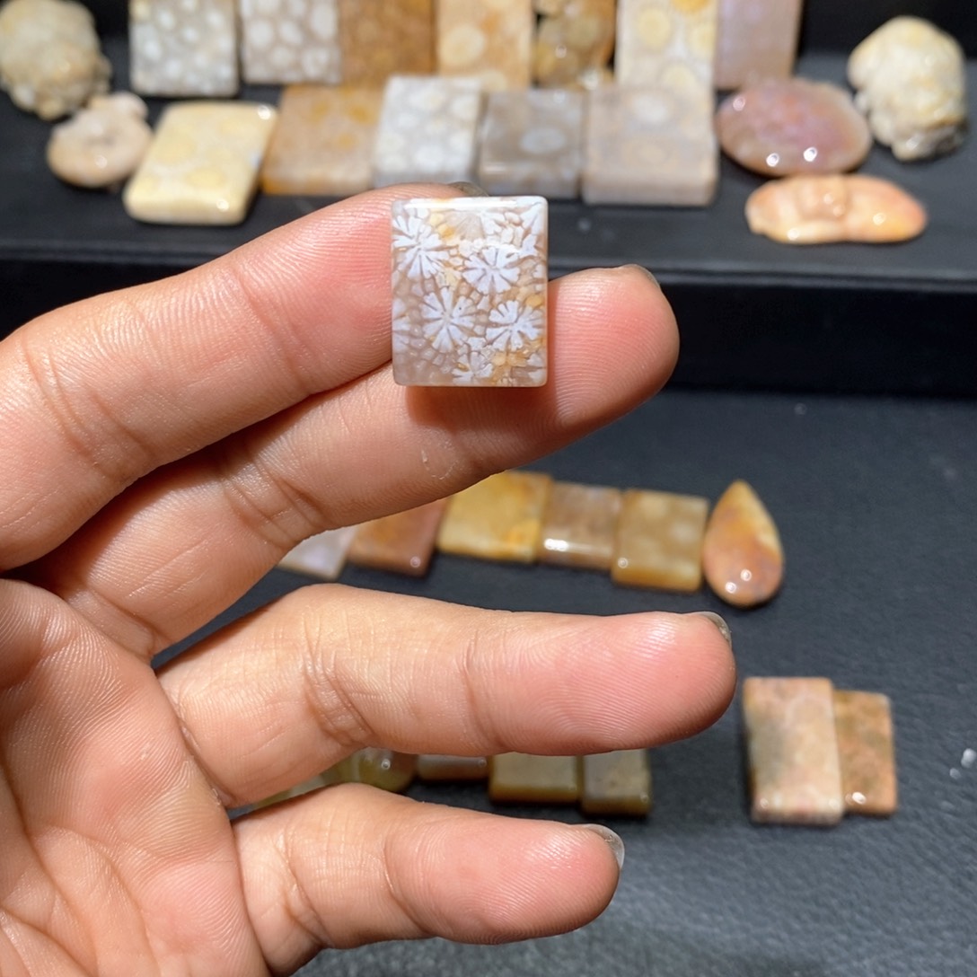 【闪购商品】硅化玉颈饰未镶嵌