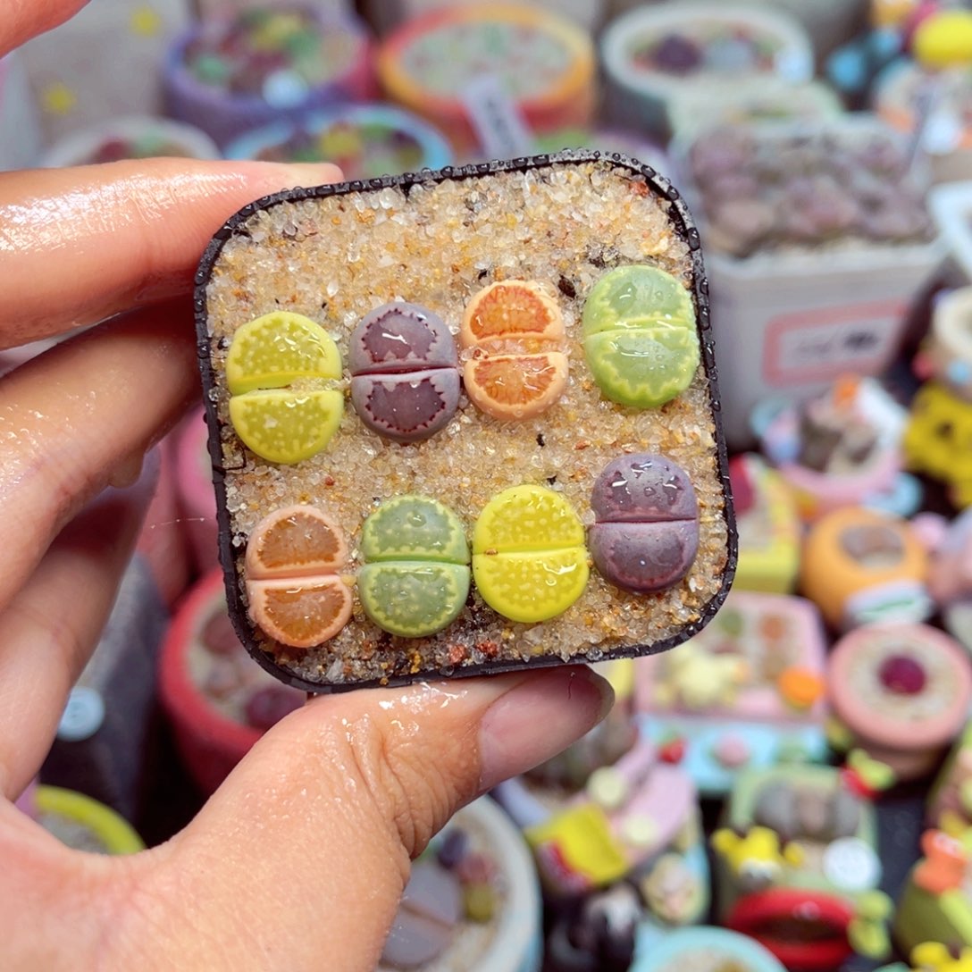 858. 678888887778877