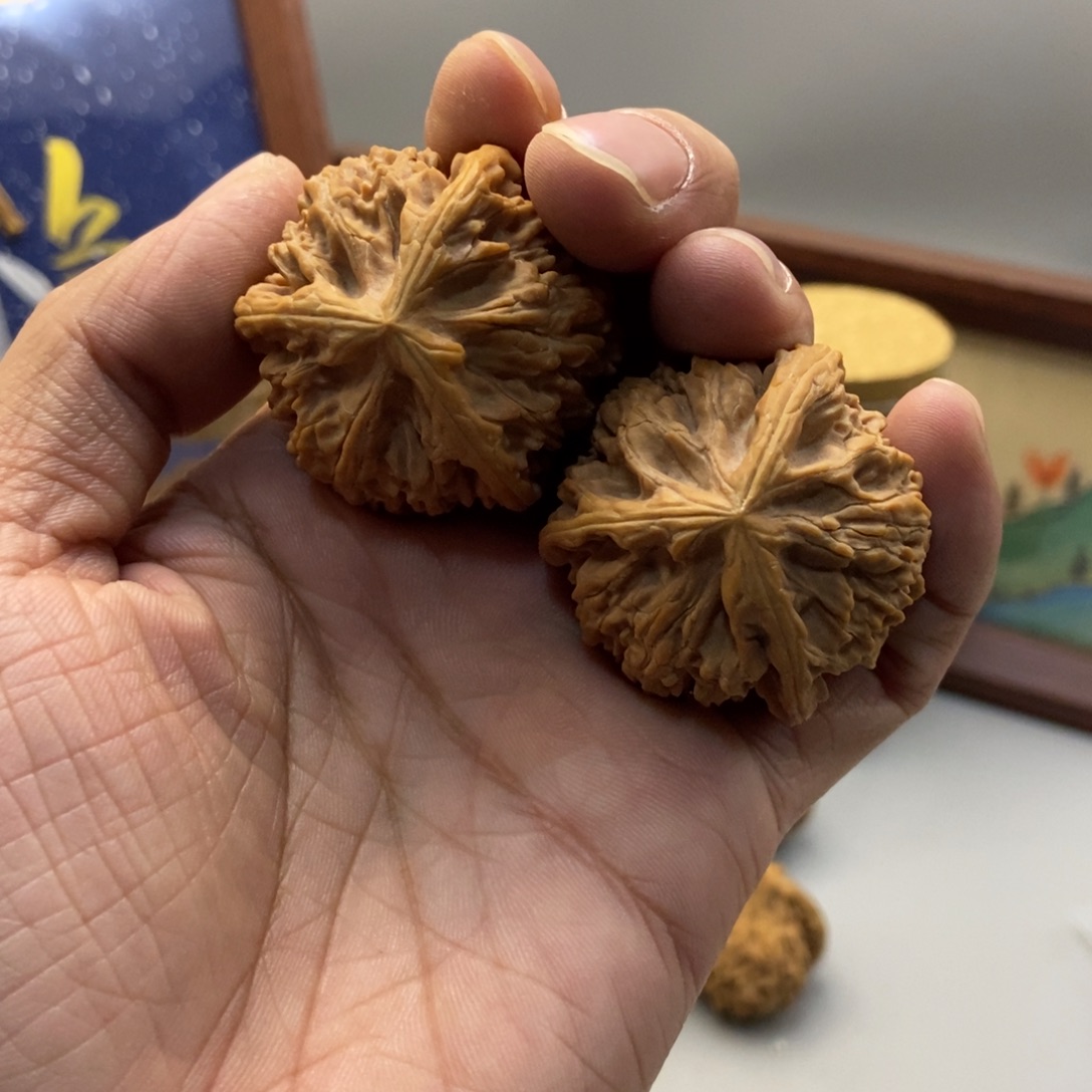 40尺寸文山三棱文玩