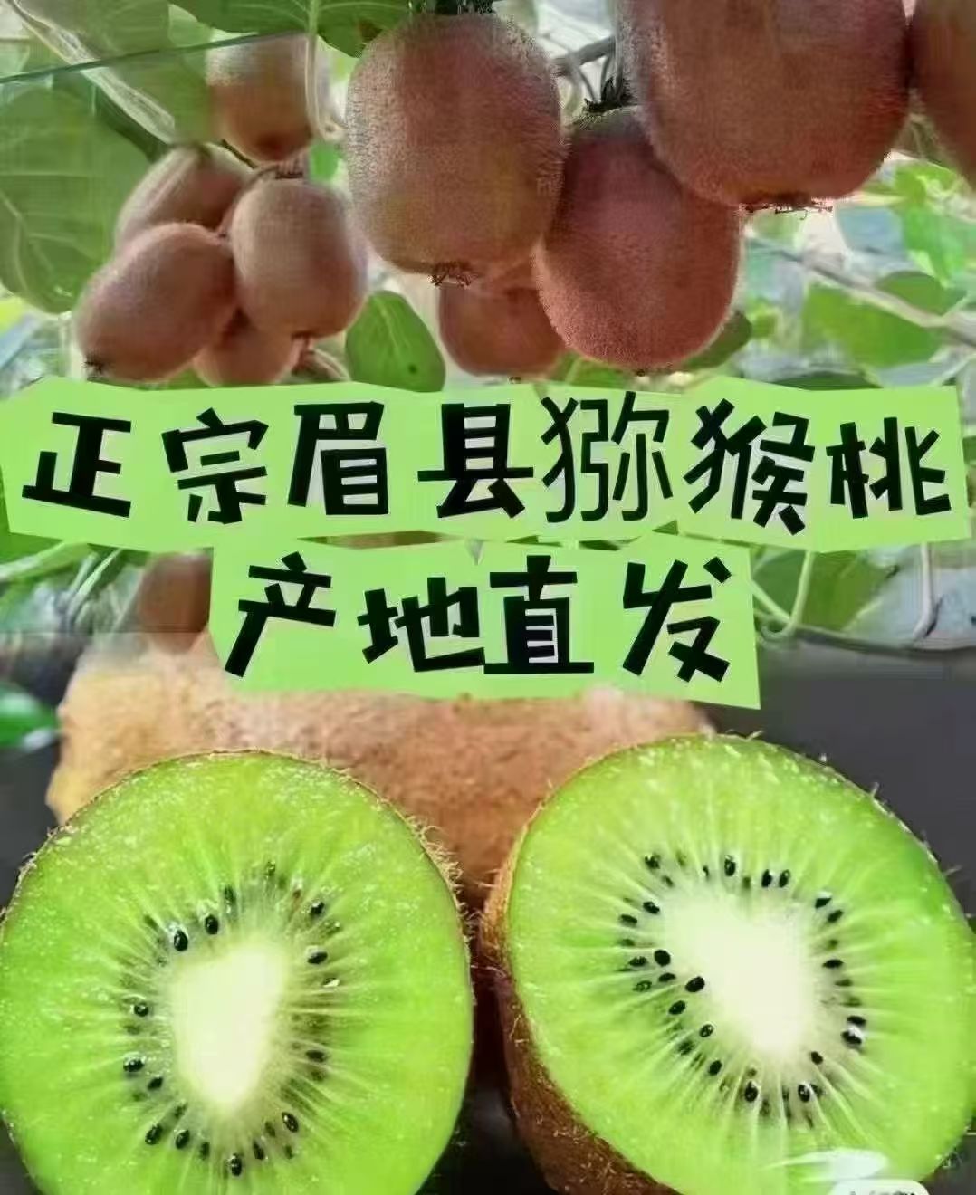 陕西眉县徐香猕猴桃（10斤专拍）软糯香甜绿心农村