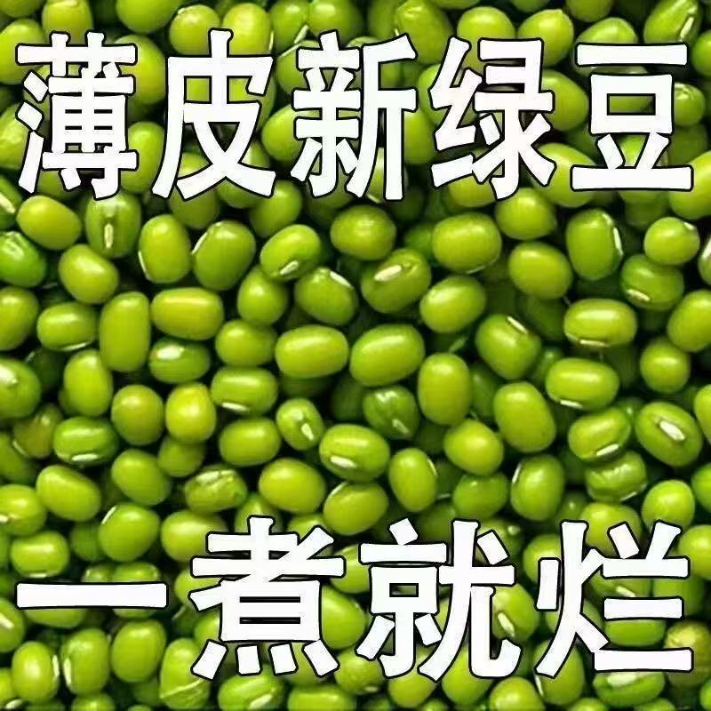东北新货绿豆颗粒饱满可发芽适合煮绿豆汤豆芽的五谷杂粮zy