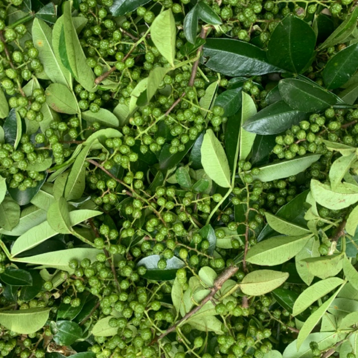 海拉青花椒500克